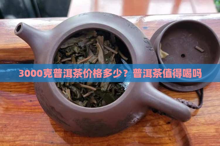 3000g的普洱茶能喝吗 3000g的普洱茶能喝吗