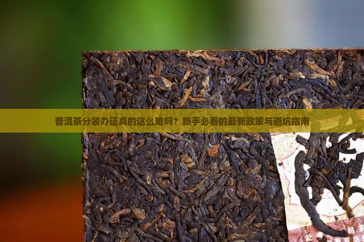 普洱茶分装办证