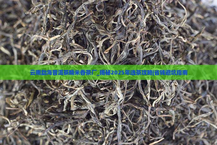 云南勐海普洱茶糯米香茶厂 云南勐海普洱茶糯米香茶厂