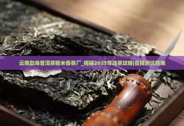 云南勐海普洱茶糯米香茶厂 云南勐海普洱茶糯米香茶厂
