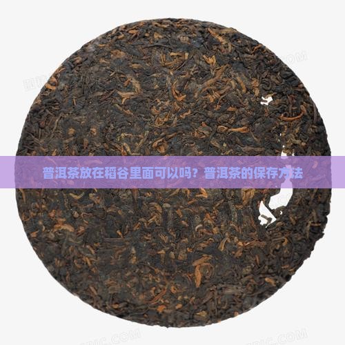 普洱茶放在稻谷里面可以吗