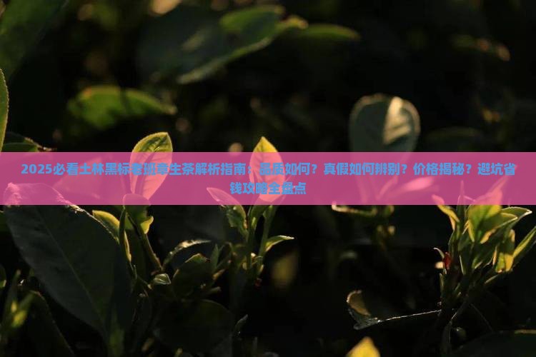 土林黑标老班章生茶