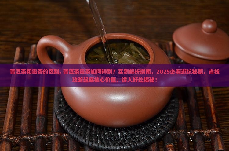 普洱茶和霉茶的区别 普洱茶和霉茶的区别