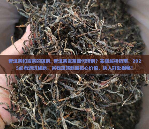 普洱茶和霉茶的区别 普洱茶和霉茶的区别