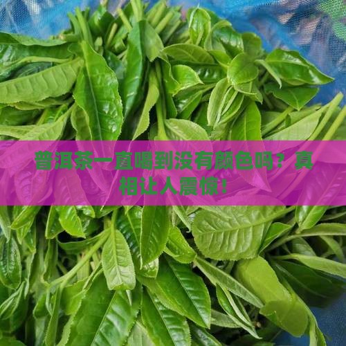 普洱茶一直喝到没有颜色吗