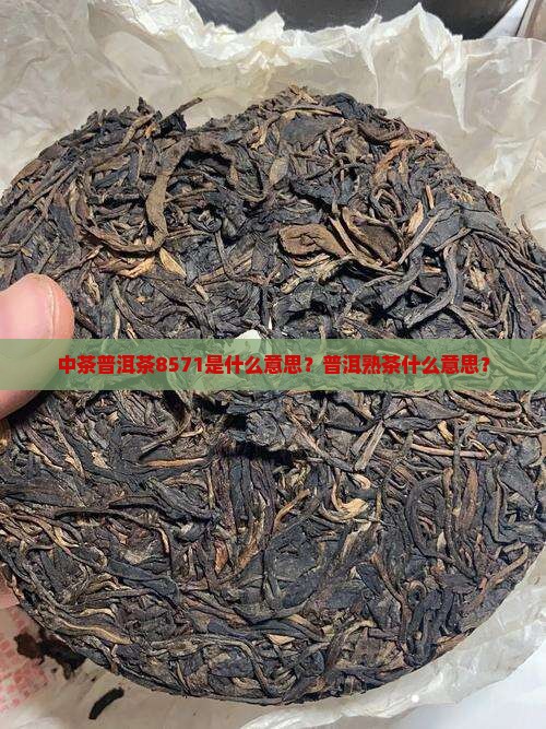 8571普洱茶怎么样