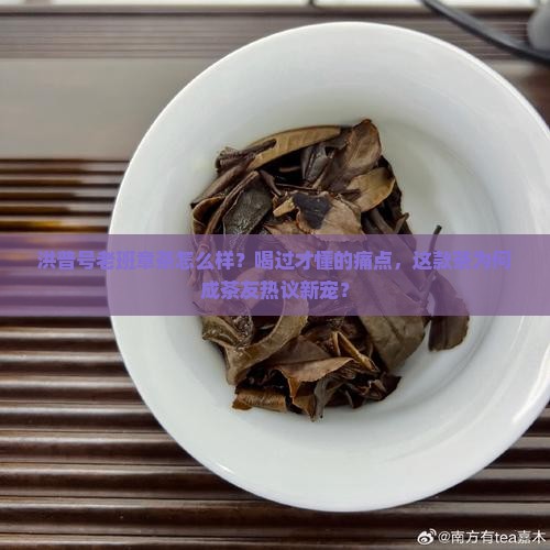 洪普号老班章茶怎么样