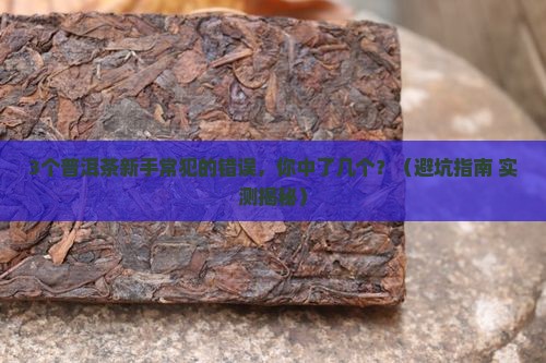 普洱茶好茶不压饼