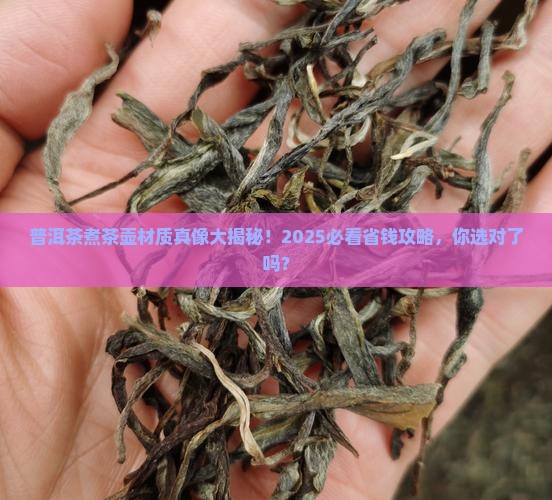 普洱茶煮茶壶材质