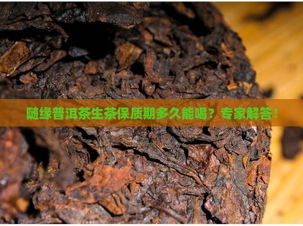 随缘普洱茶生茶保质期