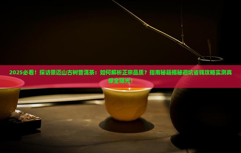 探访景迈山古树普洱茶