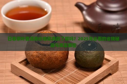 日春茶叶普洱茶价格