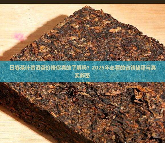 日春茶叶普洱茶价格