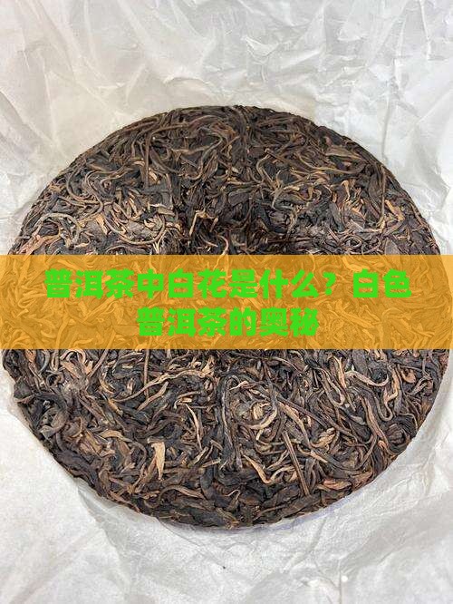 普洱茶中白花是什么