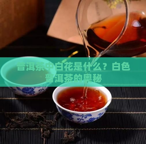 普洱茶中白花是什么