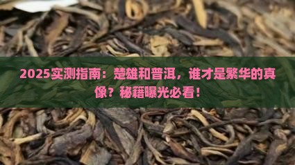 楚雄和普洱哪个更繁华