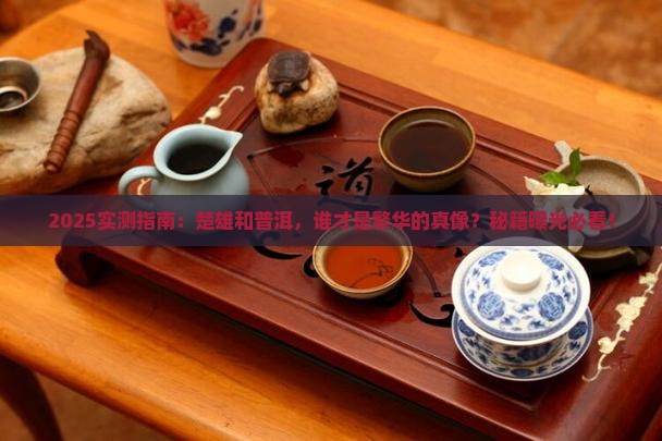 楚雄和普洱哪个更繁华