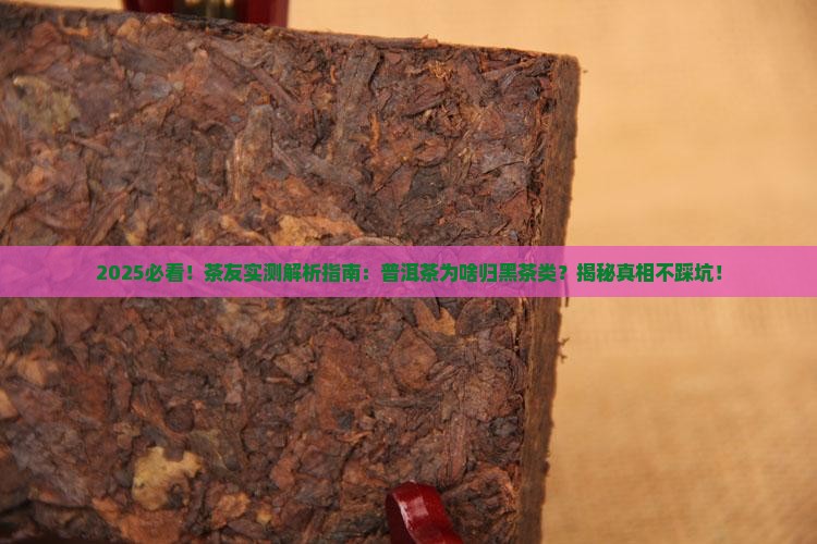 普洱茶为什么为黑茶类