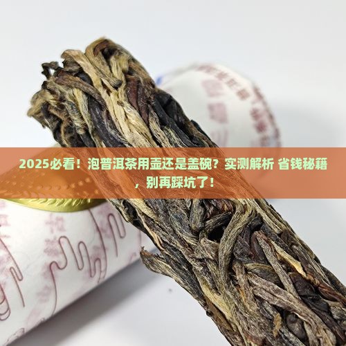 泡普洱茶用壶还是盖碗好