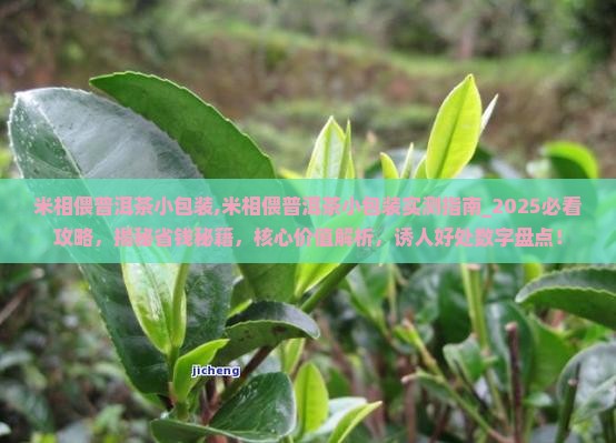 米相偎普洱茶小包装