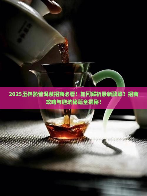 玉林资深熟普洱茶招商