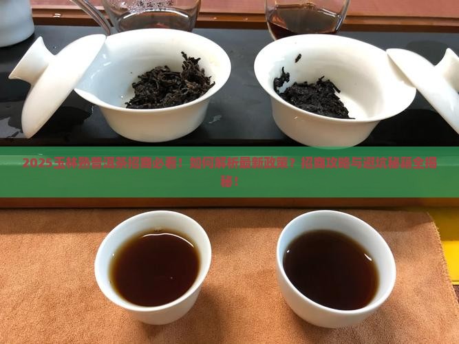 玉林资深熟普洱茶招商