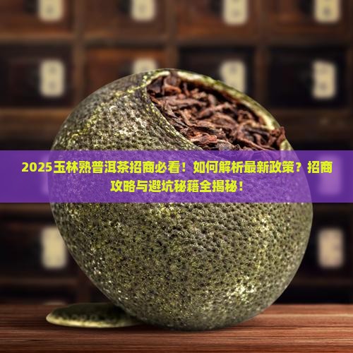 玉林资深熟普洱茶招商