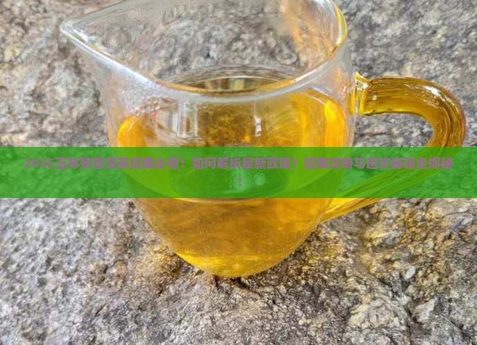 玉林资深熟普洱茶招商