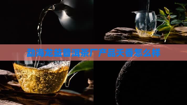 勐海龙益普洱茶厂产品天香