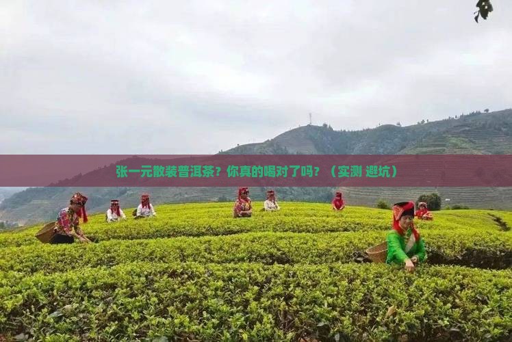 张一元散装普洱茶