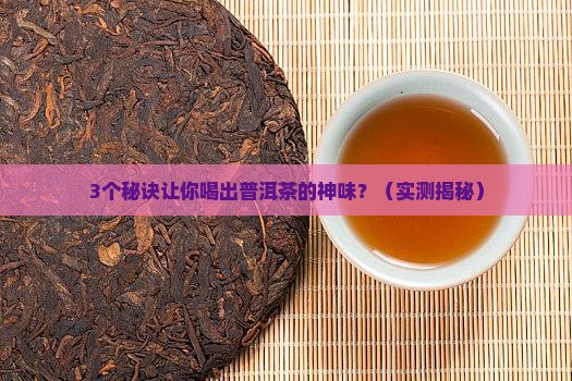 普洱茶品茶神人