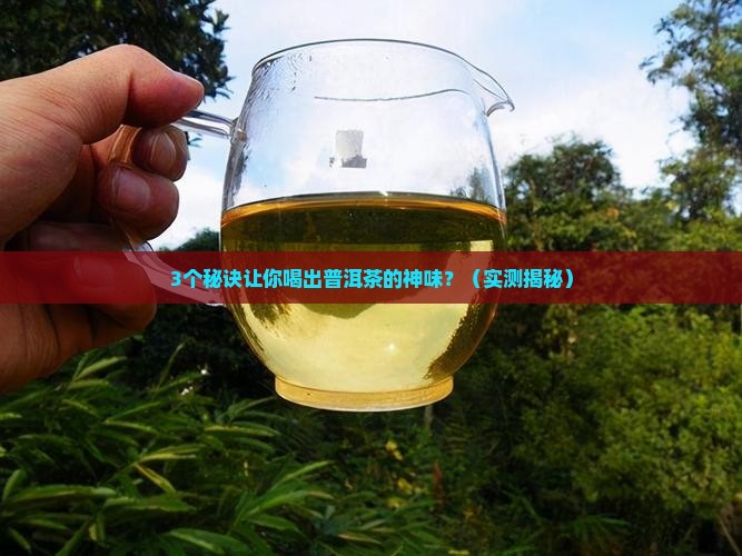普洱茶品茶神人
