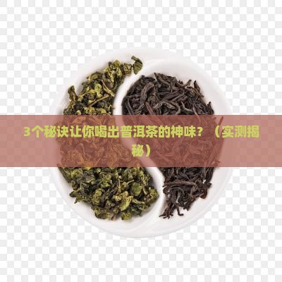 普洱茶品茶神人