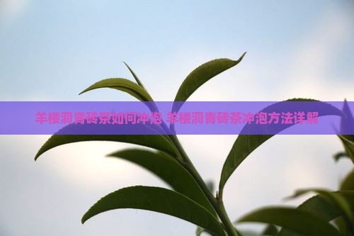 羊楼洞青砖茶如何冲泡