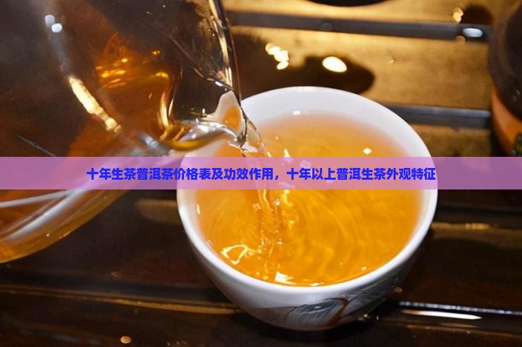 十年生茶普洱茶价格表