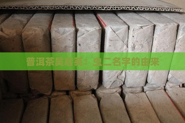 吴启英普洱茶虫二名字由来