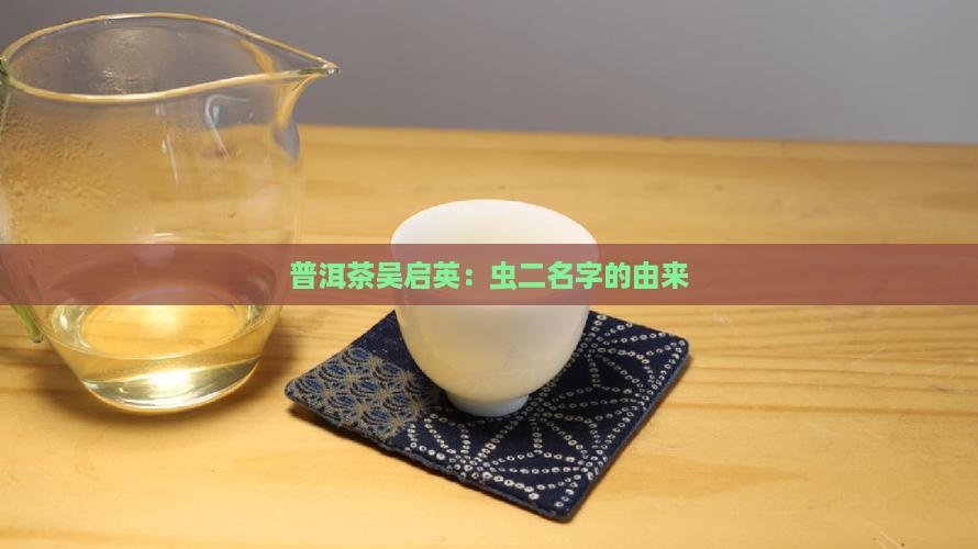 吴启英普洱茶虫二名字由来