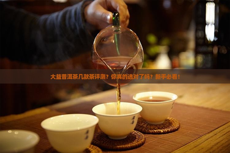 大益普洱茶几款茶评测
