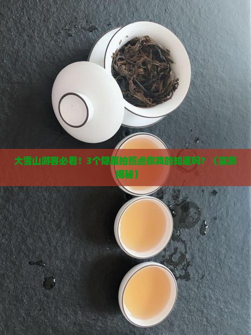 云南省永德县大雪山山茶花