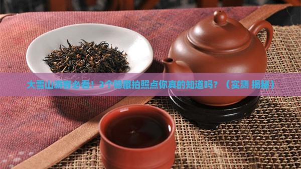 云南省永德县大雪山山茶花