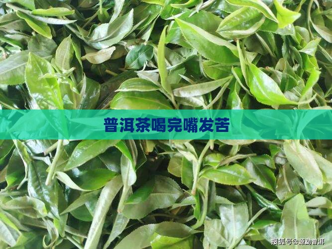 普洱茶喝完嘴发苦