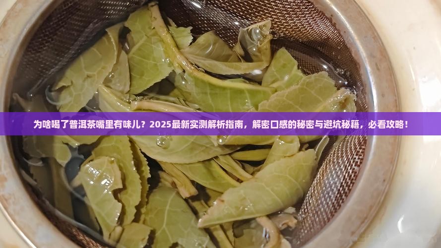 为啥喝了普洱茶嘴里有味儿