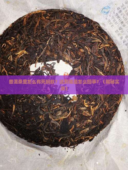 普洱茶有死蚂蚁是怎么回事