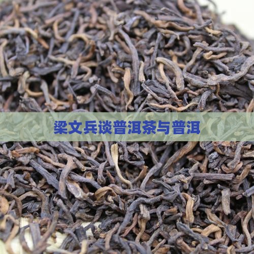梁文兵说普洱茶