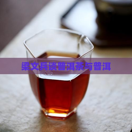 梁文兵说普洱茶