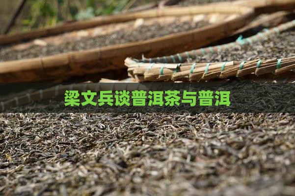 梁文兵说普洱茶