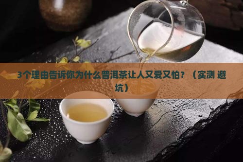 直面普洱茶怎么样