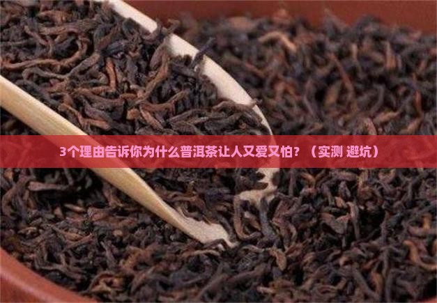 直面普洱茶怎么样
