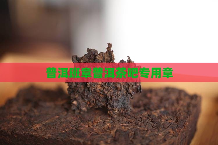 普洱茶吧专用章