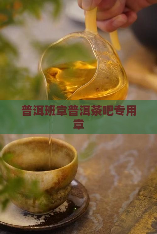 普洱茶吧专用章